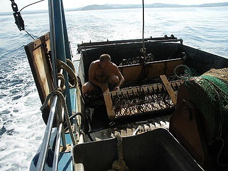 BURKIs ERLEBNISBERICHT 2005 > Fischerfahrt-12