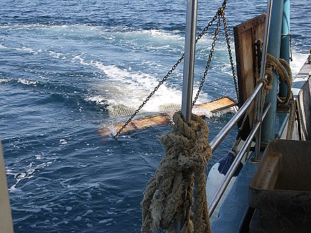 BURKIs ERLEBNISBERICHT 2005 > Fischerfahrt-18