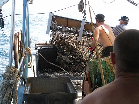 BURKIs ERLEBNISBERICHT 2005 > Fischerfahrt-19