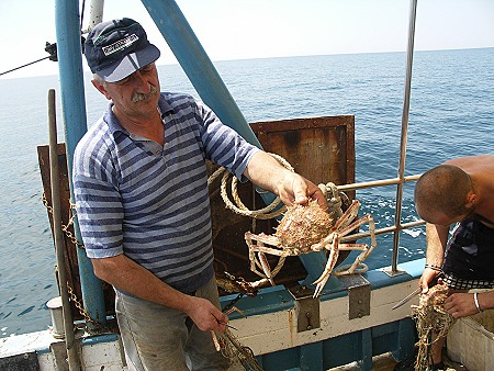 BURKIs ERLEBNISBERICHT 2005 > Fischerfahrt-26