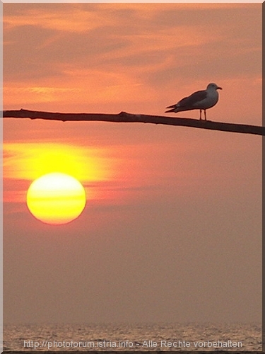 SONNE > Die Adria im Sonnenuntergang