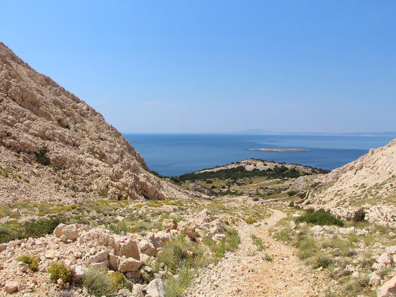 2014-6-10.jpg