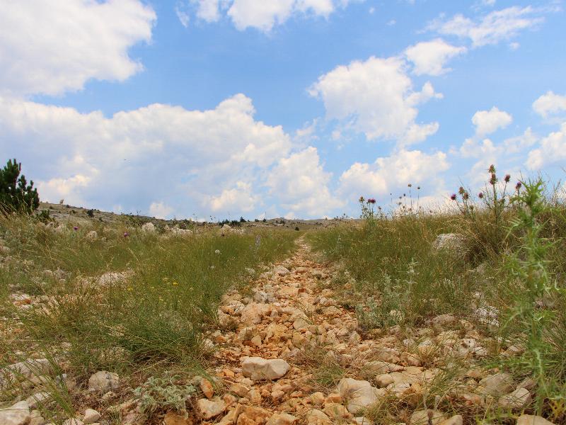 2014-6-11.jpg