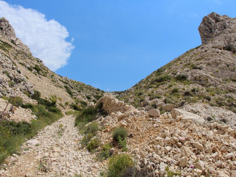 2014-6-12.jpg