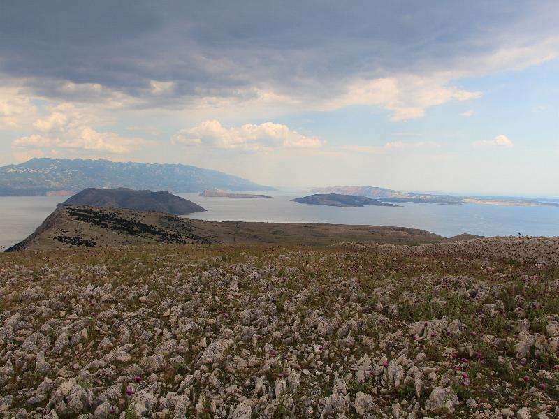 2014-6-14.jpg