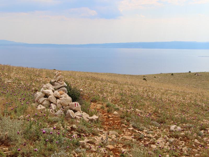 2014-6-28.jpg