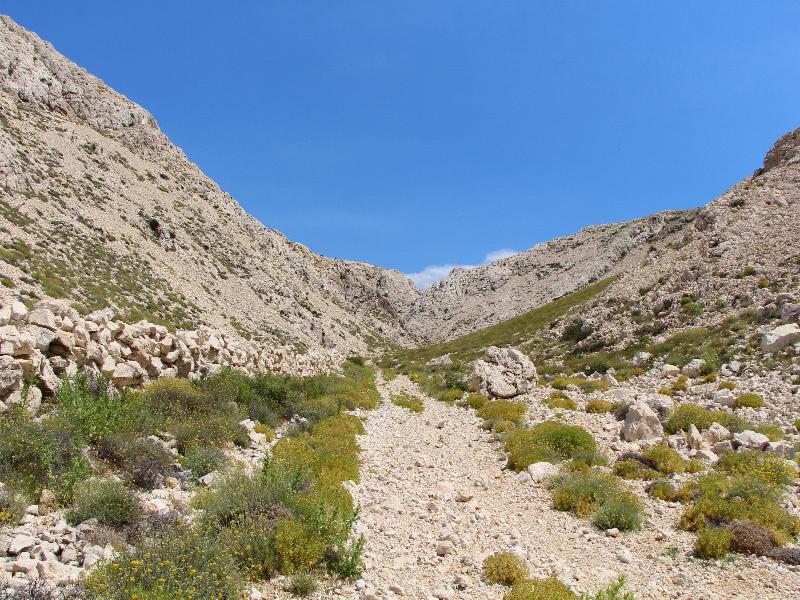 2014-6-9_2.jpg
