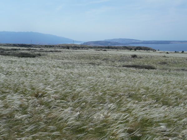 STARA BASKA > Auf dem Plateau der Mondberge