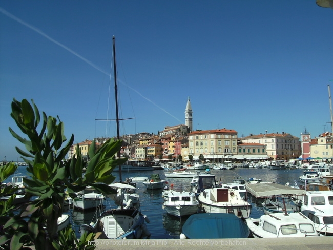 ROVINJ > Blick auf die Marina