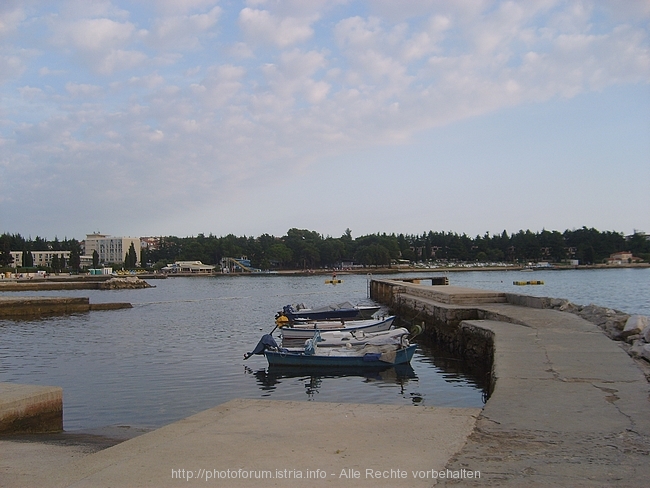 POREC > Kleiner Anleger in Spadici