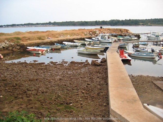 POREC > Aquarius > Marina während der Ebbe am Morgen