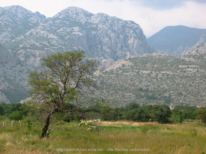 NATIONALPARK PAKLENICA > Eingang zur Schlucht Velika Paklenica