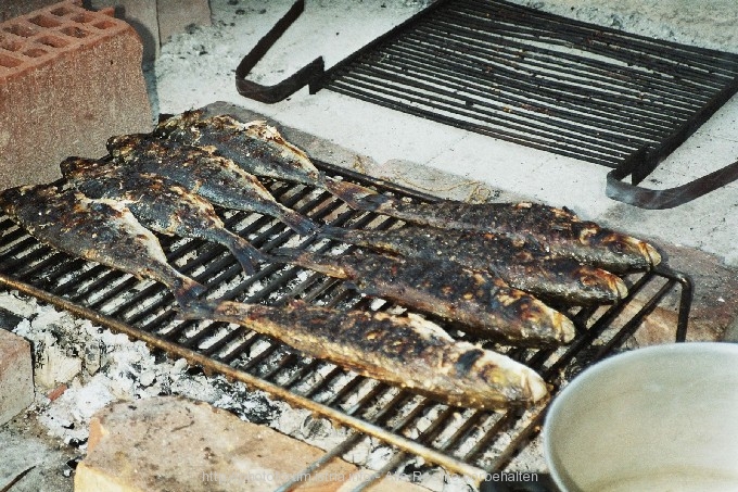 GRILLEN > Frischer Fisch vom Rost