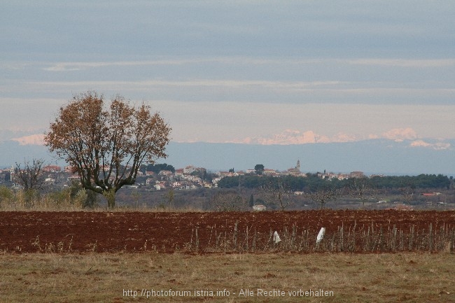 Porec im Winter 7