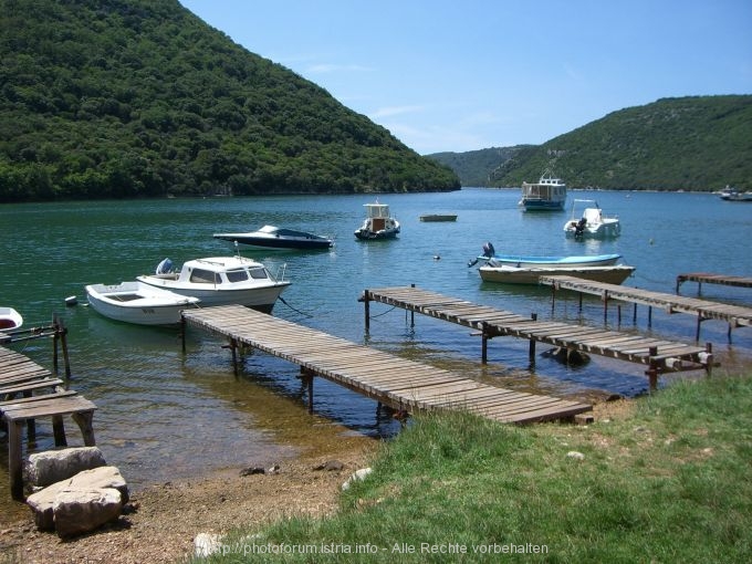 Limski