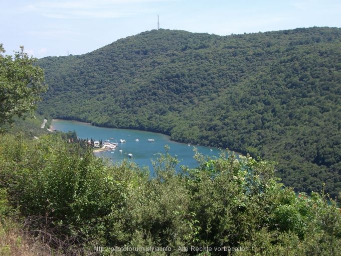 Limski Kanal