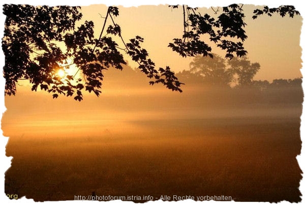 ISTRIEN > Herbstimpressionen