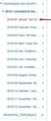 monatliche_Gewinnspiele_Jan_a._500_JPG.jpg