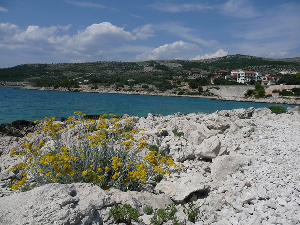 CAMPING ADRIATIC PRIMOSTEN>Strand