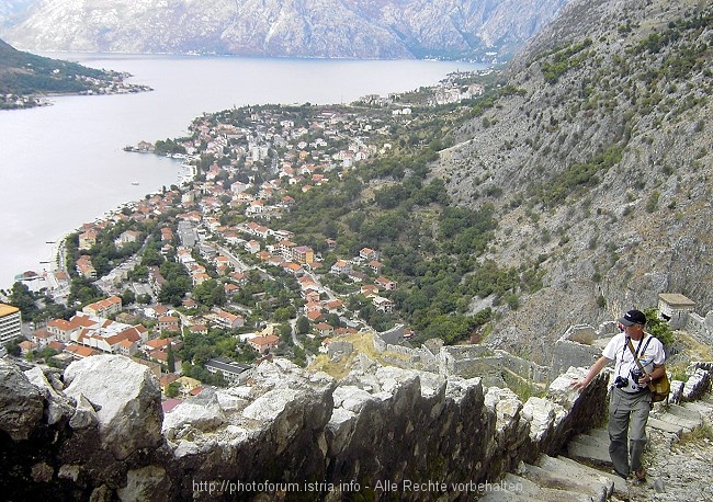 Kotor