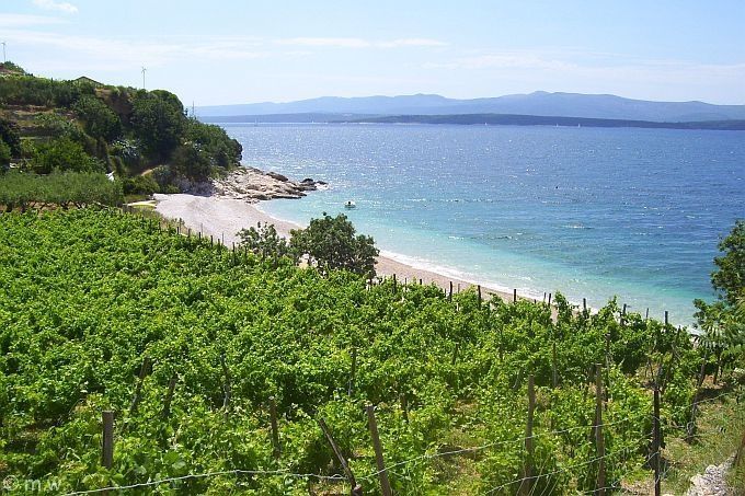 Dalmatien: FARSKA auf Brac > Traumstrand unter dem Weinberg