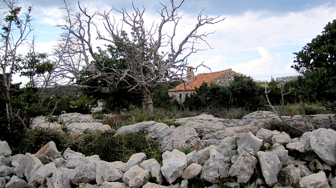 Kvarner/Velebit: INSEL PAG > verlassener ORT