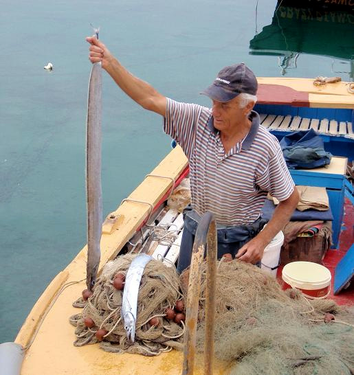 Kvarner: BASKA auf Krk > Branko mit Strumpfbandfisch