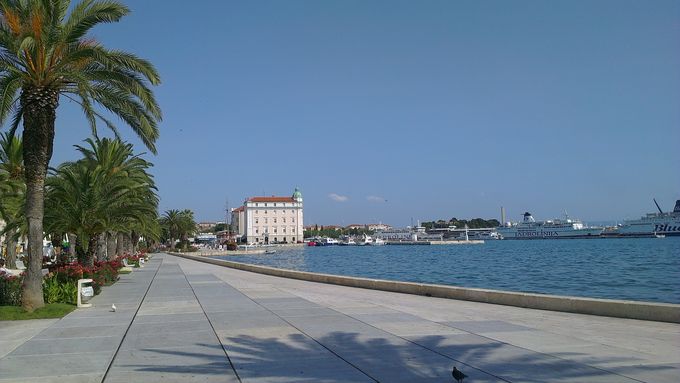 Dalmatien: SPLIT > Promenade