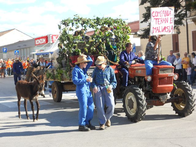 ISTRIEN: BUJE > Traubenfest