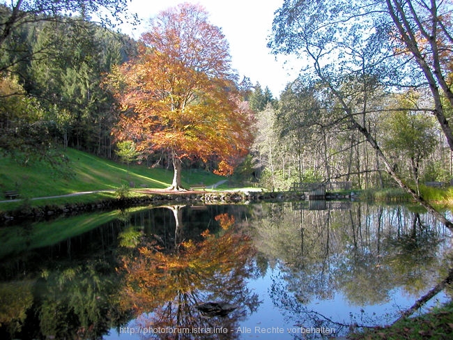 A > LIENZ > Herbststimmung im Park