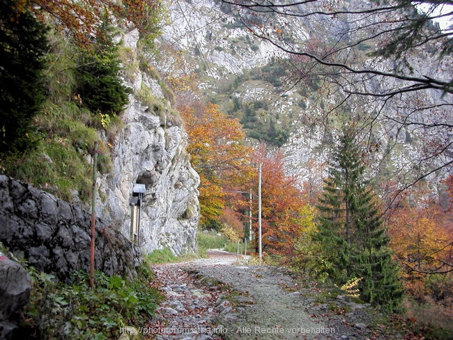 I>Plöckenpass im Herbst 6