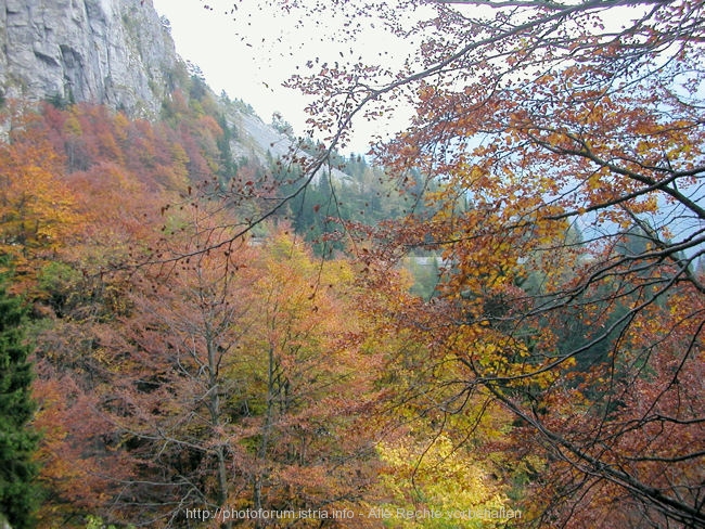 I>Plöckenpass im Herbst 7