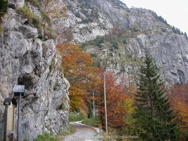 I>Plöckenpass im Herbst 8