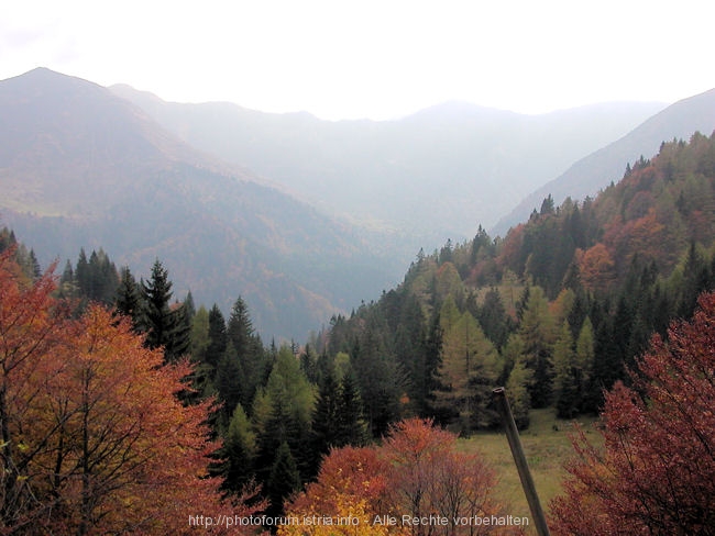 I>Plöckenpass im Herbst 10