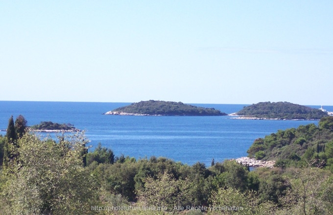 ROVINJ > AUSBLICK > Küste> Rovinji Centener