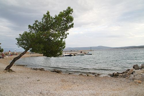 CRIKVENICA > Richtungsweisend der Sonne entgegen