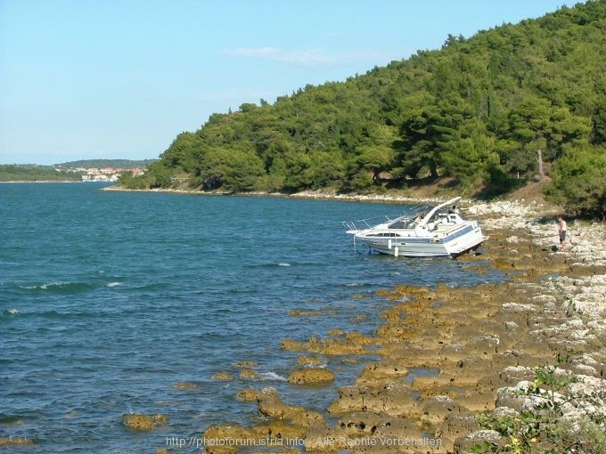 BUCHT POMER > Ein Schiff auf Abwegen