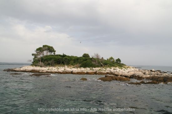 ROVINJ > grünes zerklüftetes Inselchen