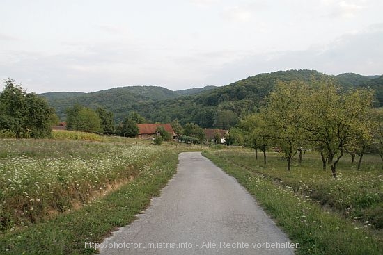 GARIC GRAD > Blick ins Grüne