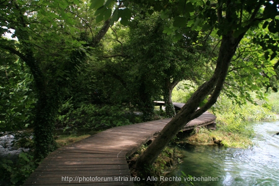 NATIONALPARK KRKA > Steg ins Grüne