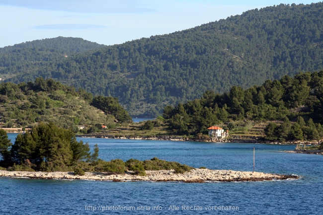 2. Platz > INSEL KORCULA > Die grüne Insel