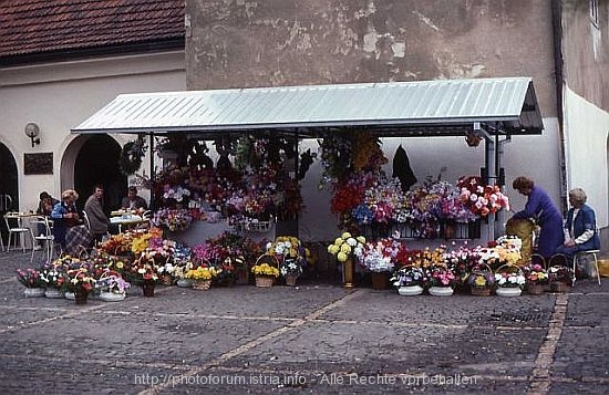 BLUMENVERKÄUFERINNEN > Zagreb Stari Grad