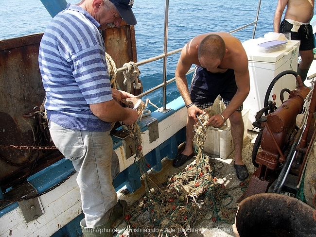 FISCHER > Arbeit auf dem Fangschiff