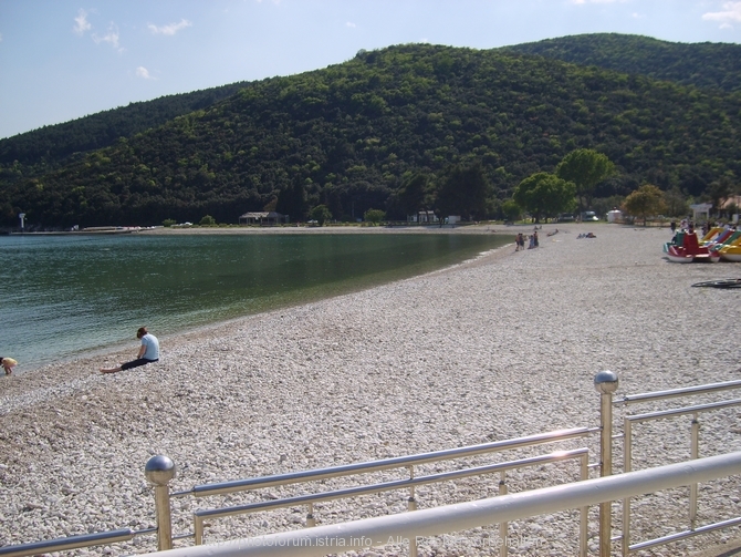 Rabac> Maslinica - Anlage der Blumen 5