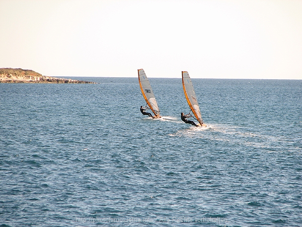 PREMANTURA > Surfer