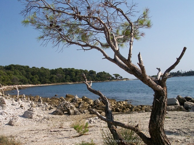 ROVINJ > Lebenskünstler