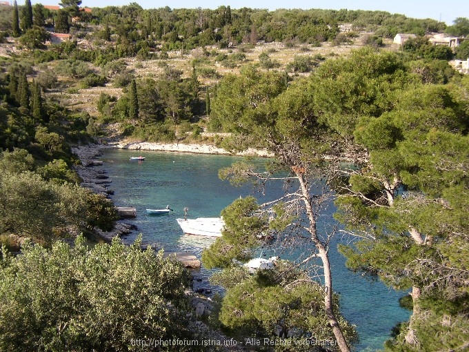 KORCULA > Bucht Stracinscica