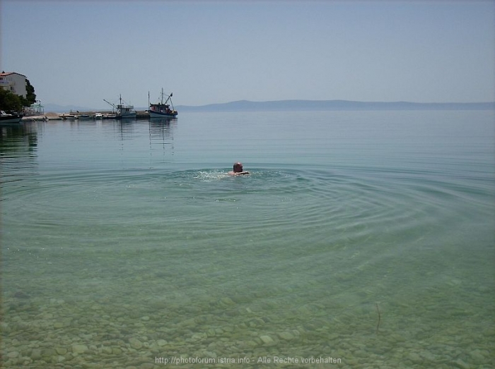 PROMAJNA > beim anbaden im Mai