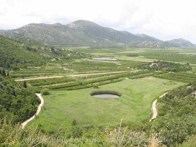 NERETVA-DELTA > Obstgärten des Neretva-Deltas