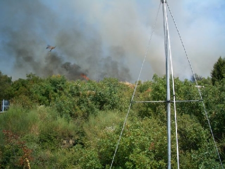 WALDBRAND > POMER > Feuer 01